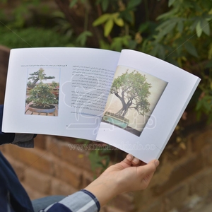 کتاب درختچه ها و بوته های مینیاتوری (راهنمای برای پرورش بونسای)