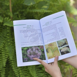 کتاب معرفی گیاهان پیازی بومی ایران