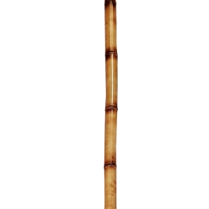 چوب بامبو (نی خیزران) قطر 4 سانت - بسته 5 تایی