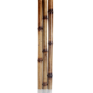 چوب بامبو (نی خیزران) قطر 6 سانت