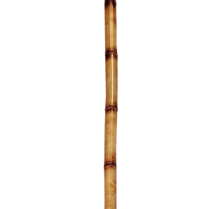 چوب بامبو ( نی خیزران )  - سایز 2