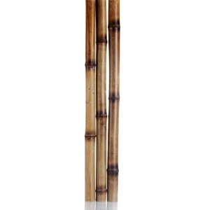 نی خیزران ( چوب بامبو ) - سایز 3