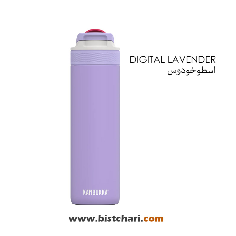 قمقمه دوجداره نی دار حجم 600 ml مدل Lagoon برند کامبوکا Kambukka