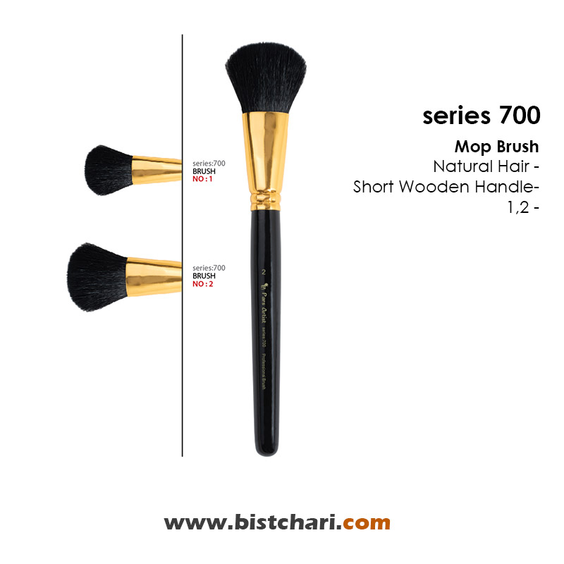 قلمو محو کن با موی طبیعی سری 700 برند پارس آرتیست Pars Artist