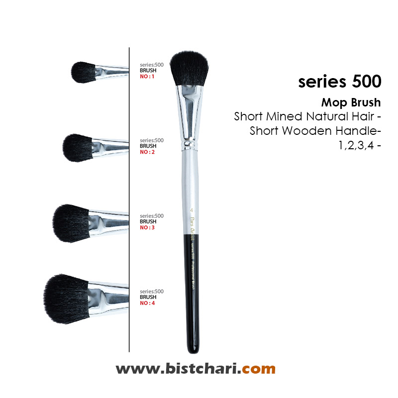 قلمو محو کن با موی طبیعی کوتاه سری 500 برند پارس آرتیست Pars Artist