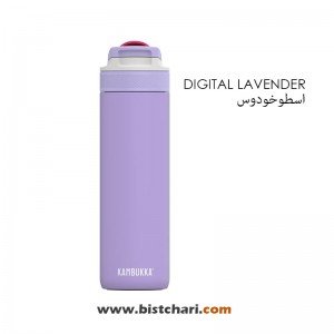 قمقمه دوجداره نی دار حجم 600 ml مدل Lagoon برند کامبوکا Kambukka