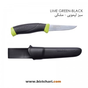 چاقو فیله بری مدل Companion Fishing Fillet برند موراکنیو Morakniv