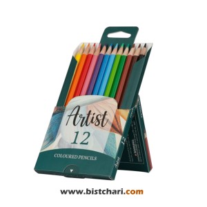 مداد رنگی 12 رنگ مدل Artist کد 3601 برند آریا Arya