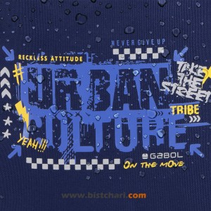 کوله پشتی مدل Skull برند گابل Gabol کد 235006046