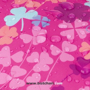 کیف پول مدل Clover برند گابل Gabol کد 235808019