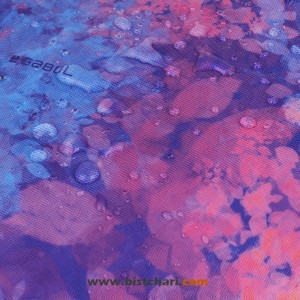 ساک مسافرتی و ورزشی مدل Sunset برند گابل Gabol کد 236197003