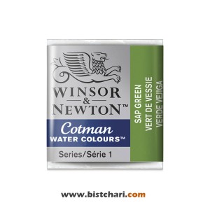 رنگ آبرنگ Sap green کد 599 برند وینزور و نیوتون Winsor & Newton