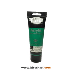 رنگ اکریلیک Permanent green light کد 48 حجم 75 ml برند وستا Vesta