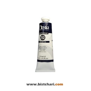 رنگ روغن رنگ Payne's gray کد 32 برند وستا Vesta