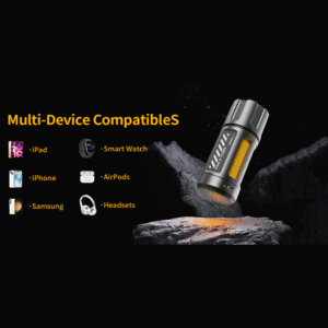 فروش شارژر همراه تایپ سی 20 وات 5000 پانک