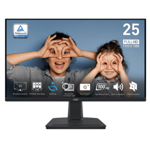 خرید مانیتور ام اس آی سایز 24.5 اینچ مدل PRO MP251