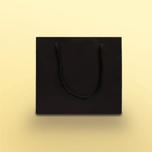 بگ مشکی مات سایز 10.5*23*23 (بسته 25 عددی)