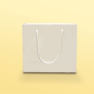 بگ مقوایی سفید براق سایز 6.5*25*17(بسته 25 عددی )