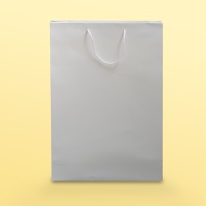 بگ مقوایی  سفید مات سایز 11*45*31(بسته 25 عددی)