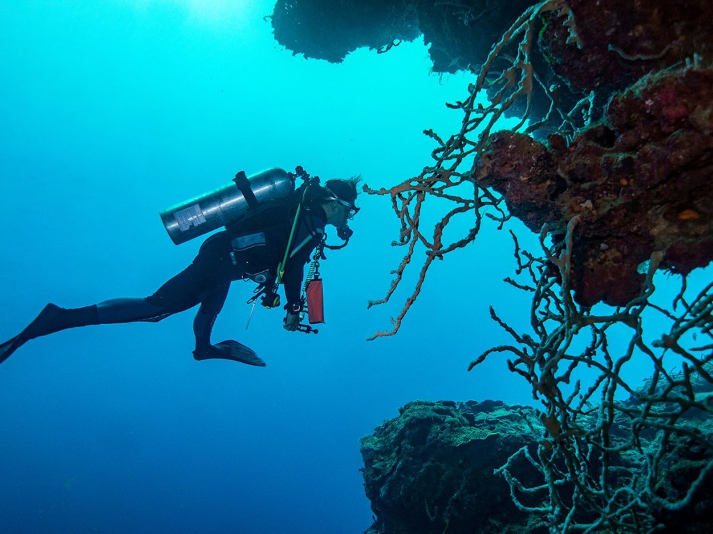 گاز غواصی در کرمان