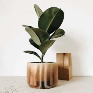 کپسول کالیبراسیون