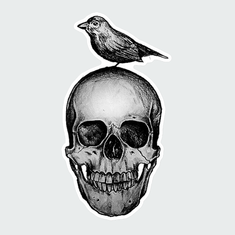 Stickers Skull bird