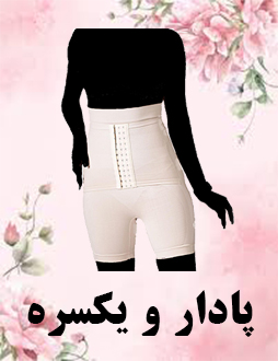 گن های پادار