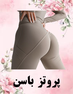 پروتز باسن
