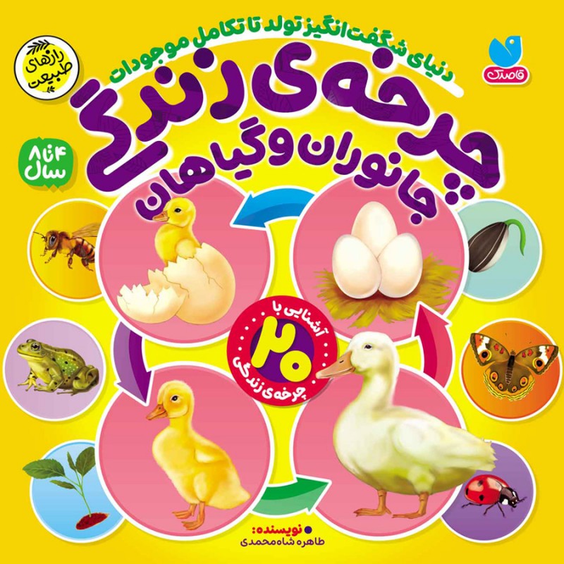 چرخه ی زندگی جانوران و گیاهان