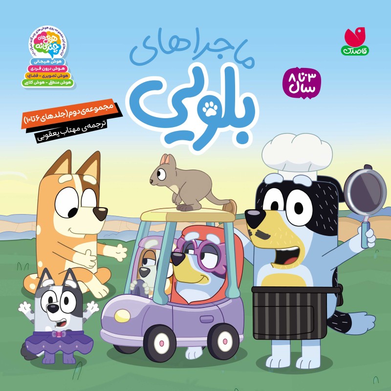 ماجراهای بلویی مجموعه‌ی دوم (10-6)- جلد سخت