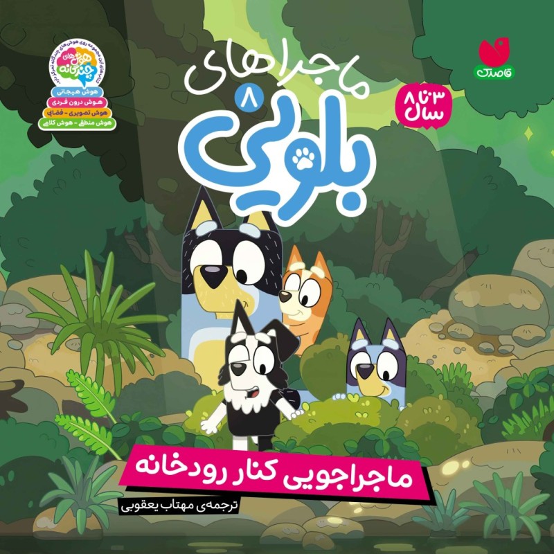 کتاب صوتی ماجراهای بلویی - جلد8