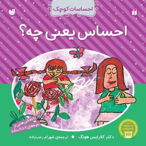 احساسات کوچک - احساس یعنی چه؟