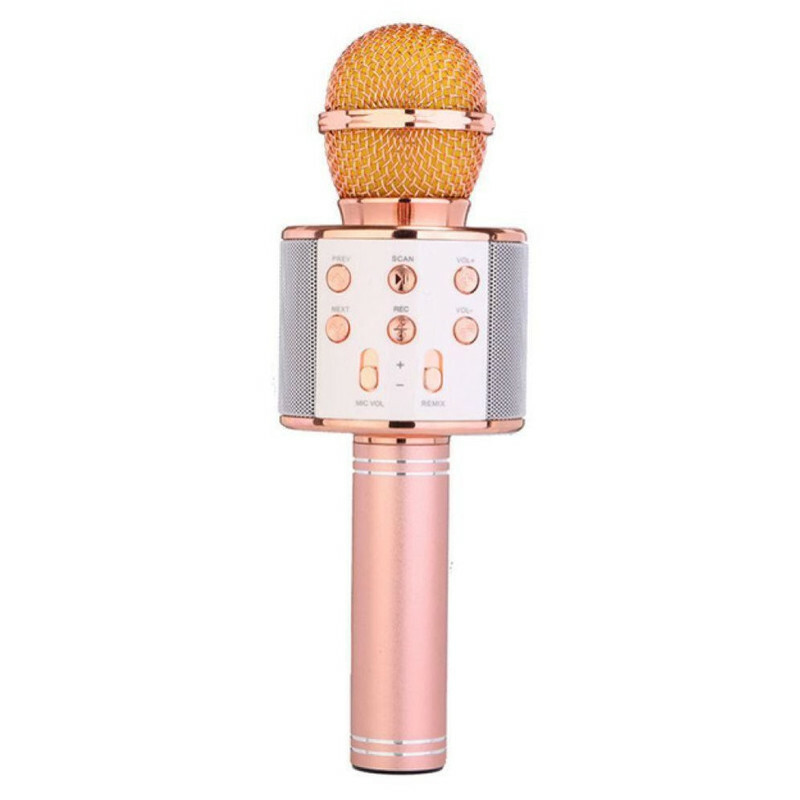 میکروفون اسپیکر وستر مدل ws-858