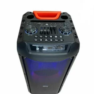 اسپیکر بلوتوثی قابل حمل میکروفون دار مدل WGY5059