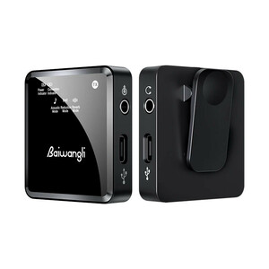 میکروفون بی سیم دو کاناله Baiwangli SX39