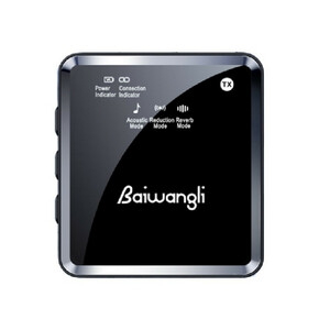 میکروفون بی سیم دو کاناله Baiwangli SX39