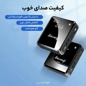 میکروفون بی سیم دو کاناله Baiwangli SX39
