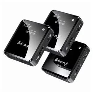 میکروفون بی سیم دو کاناله Baiwangli SX39