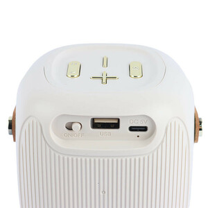 اسپیکر بلوتوثی قابل حمل گریت نایس مدل GTS-1679