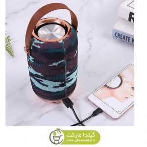 اسپیکر بلوتوث انرجایزر مدل DSM-037 BTS103