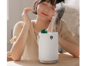 دستگاه بخور و رطوبت ساز Sothing Cactus Double Spray Humidifier