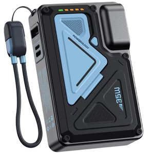 فروش پاوربانک و شارژر دیواری مشکی  پاورولوژی