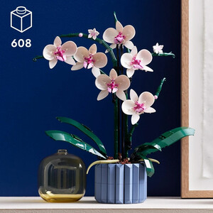 نمای کامل گل ارکیده لگو Botanical Collection