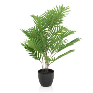 نخل مینیاتوری