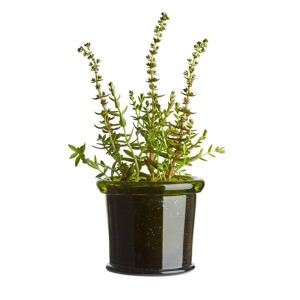 گلدان شیشه ای برگ سبز