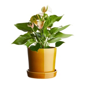 گلدان سفالی با لعاب زرد