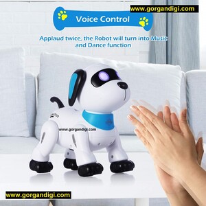 سگ رباتی بدلکار مدل K21A