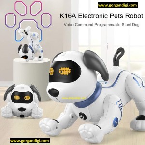 سگ هوشمند کنترلی کد K16A
