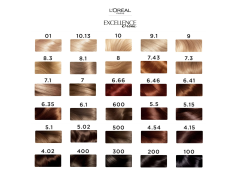 کیت رنگ مو لورال مدل EXCELLENCEcreme کد 6.41 قهوه ای روشن