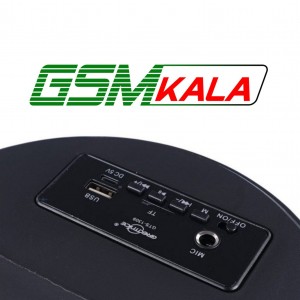 اسپیکر بلوتوثی گریت نایس GTS-1309 + میکروفون